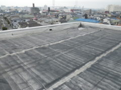 RIMG0819